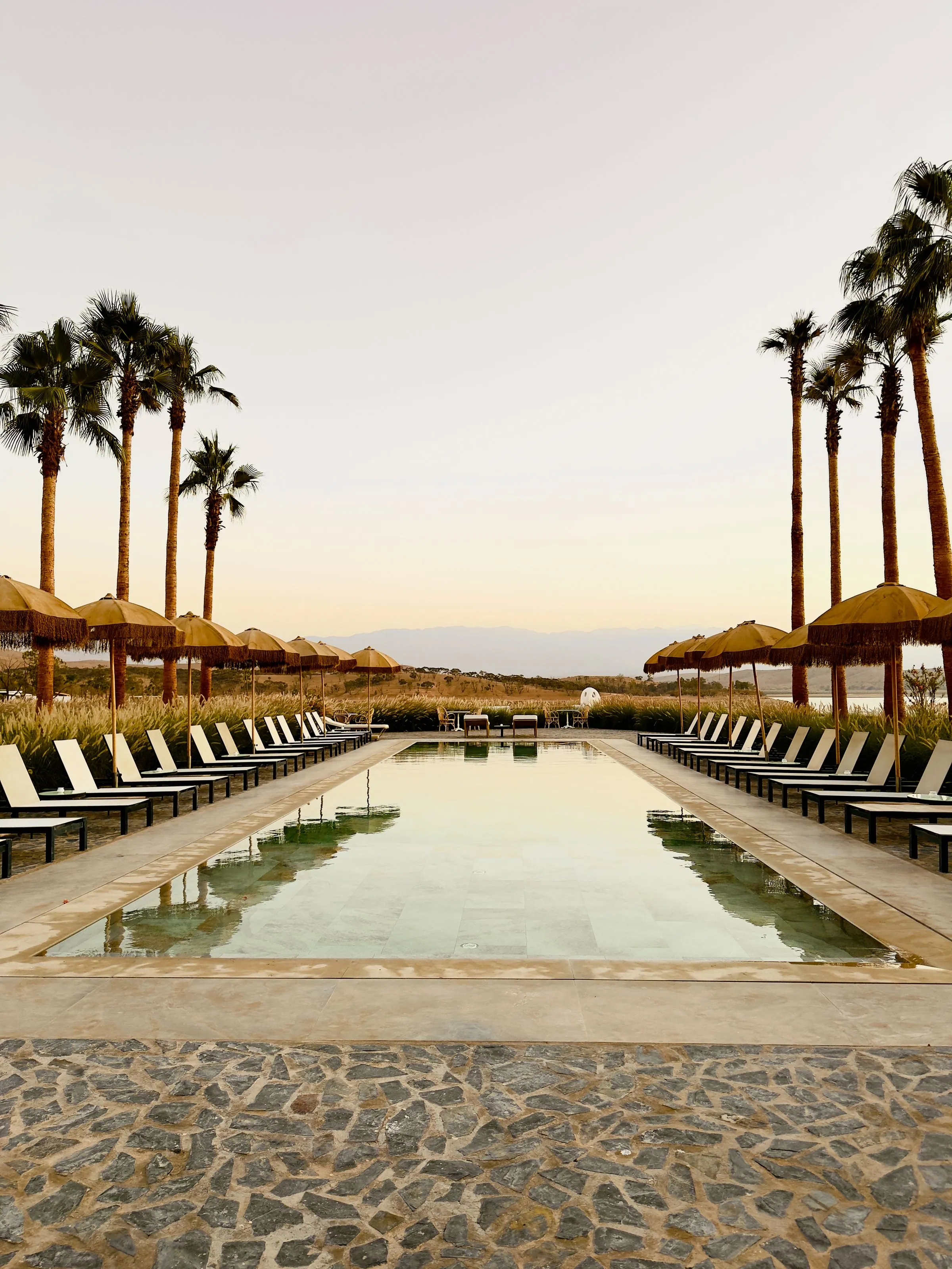 Long rectangular pool flanked by two rows of loungers and fringed umbrellas, with tall palm trees against a pale sky at golden hour