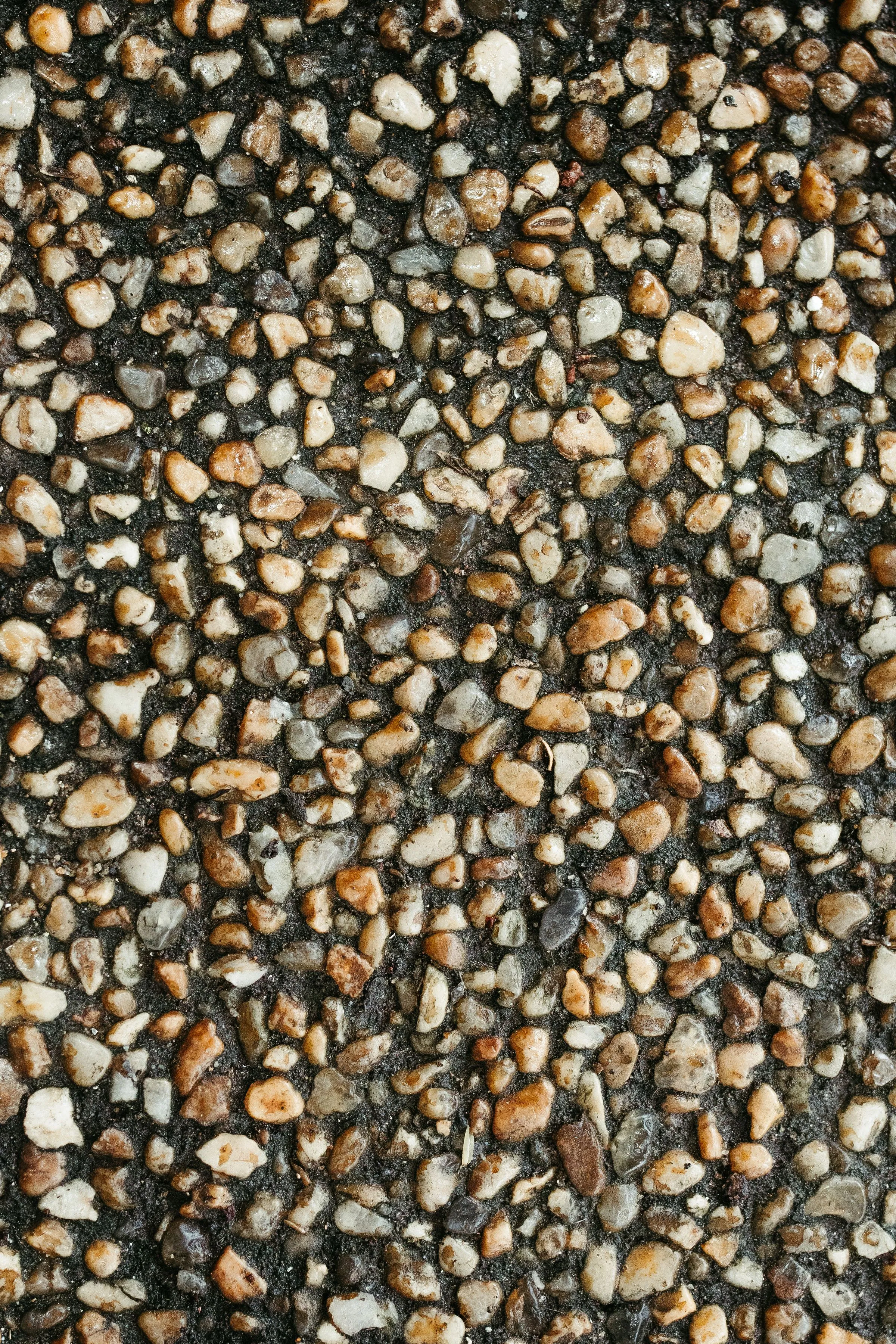 Close-up of a densely packed pebble surface, small rounded stones in brown, grey and white tones